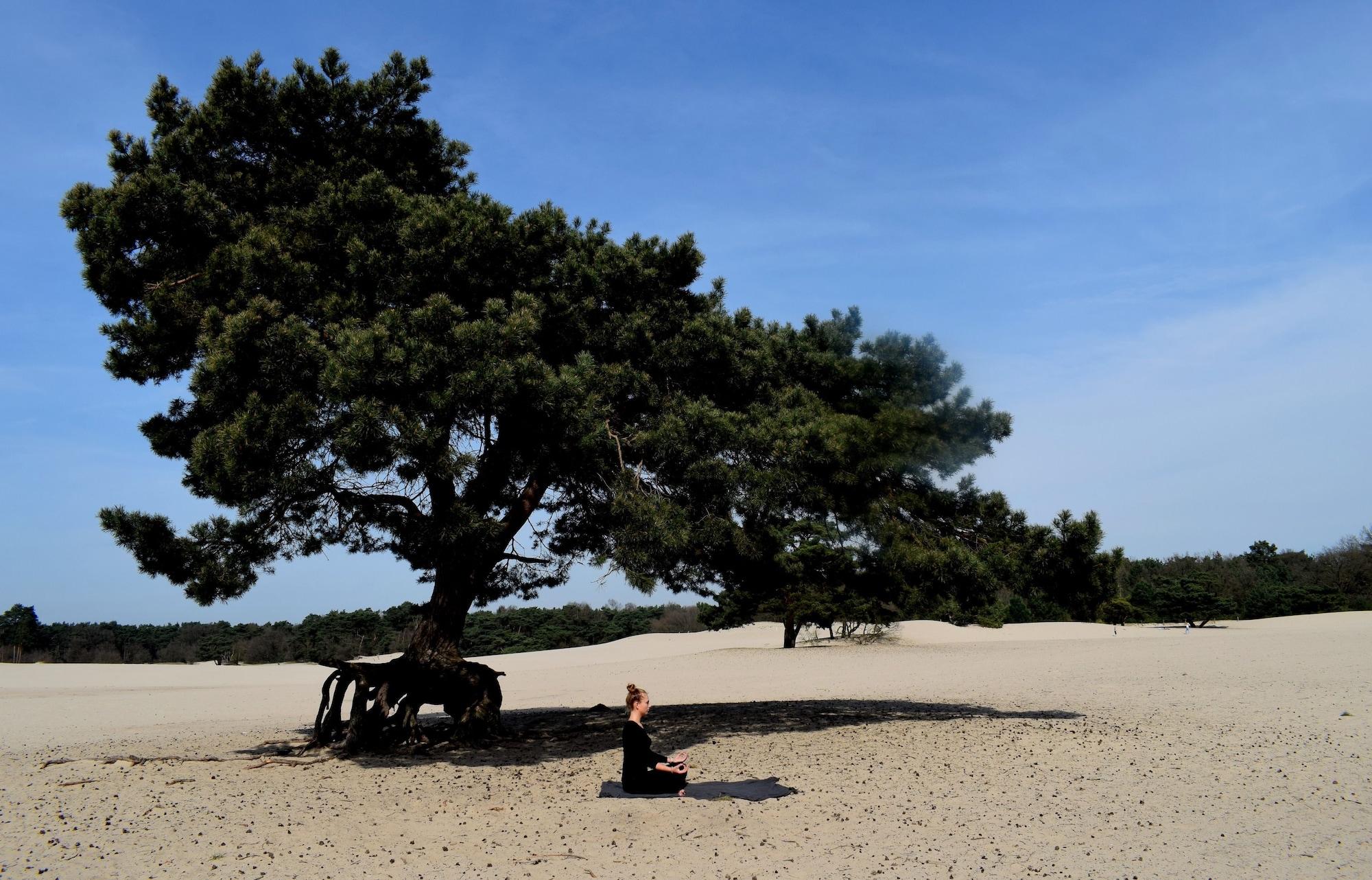 Gimnasio DoubleTree by Hilton Royal Parc Soestduinen