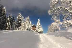 Alquiler Vacacional - Lovingly furnished apartment - you will feel at home with us