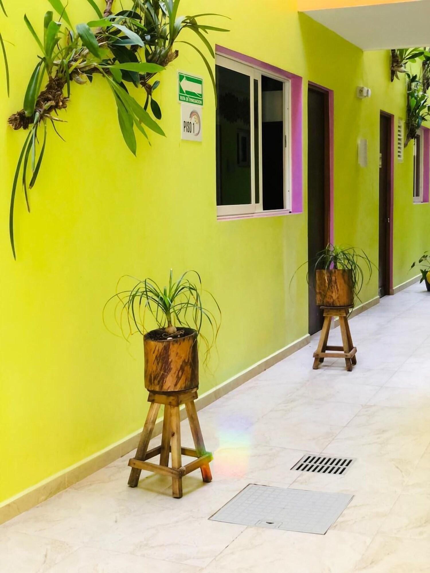 Equipamiento de Habitación Hotel Arco Iris Tulum