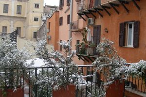 Alojamiento - Pettinary Village