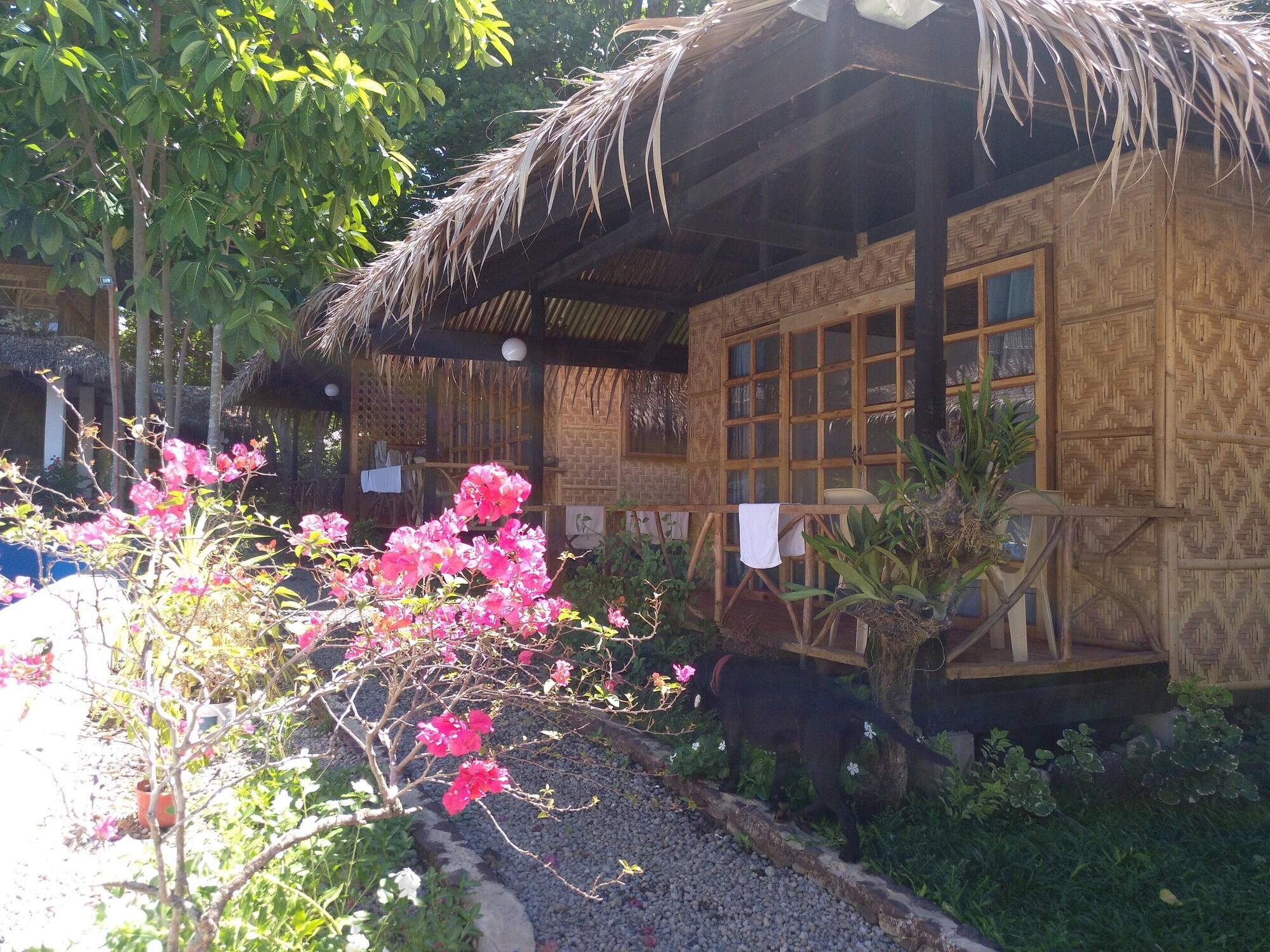 Vista Exterior Kokomo Dive Resort