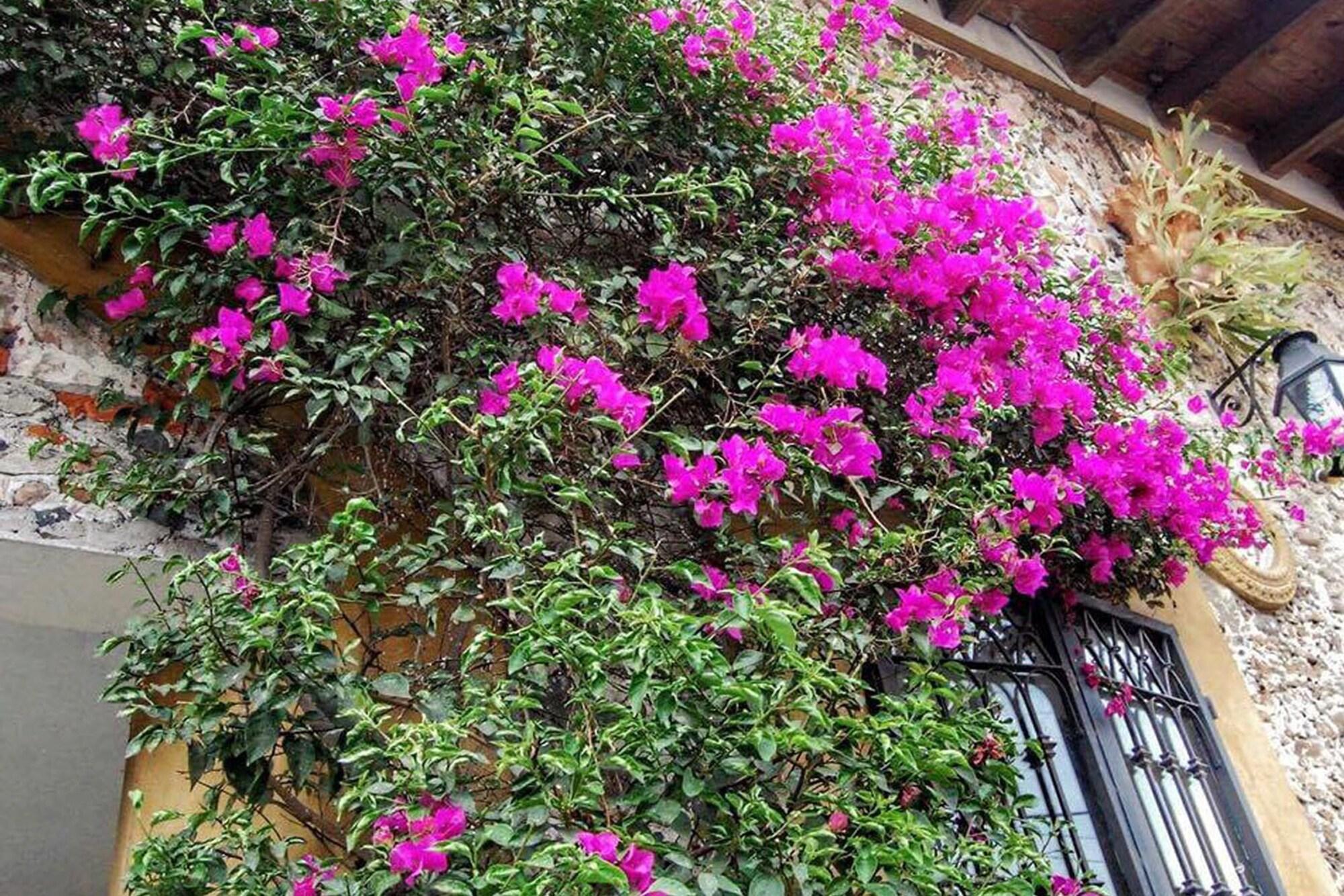 Vista Exterior Hotel Posada San Jerónimo