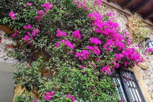 Alojamiento - Hotel Posada San Jerónimo