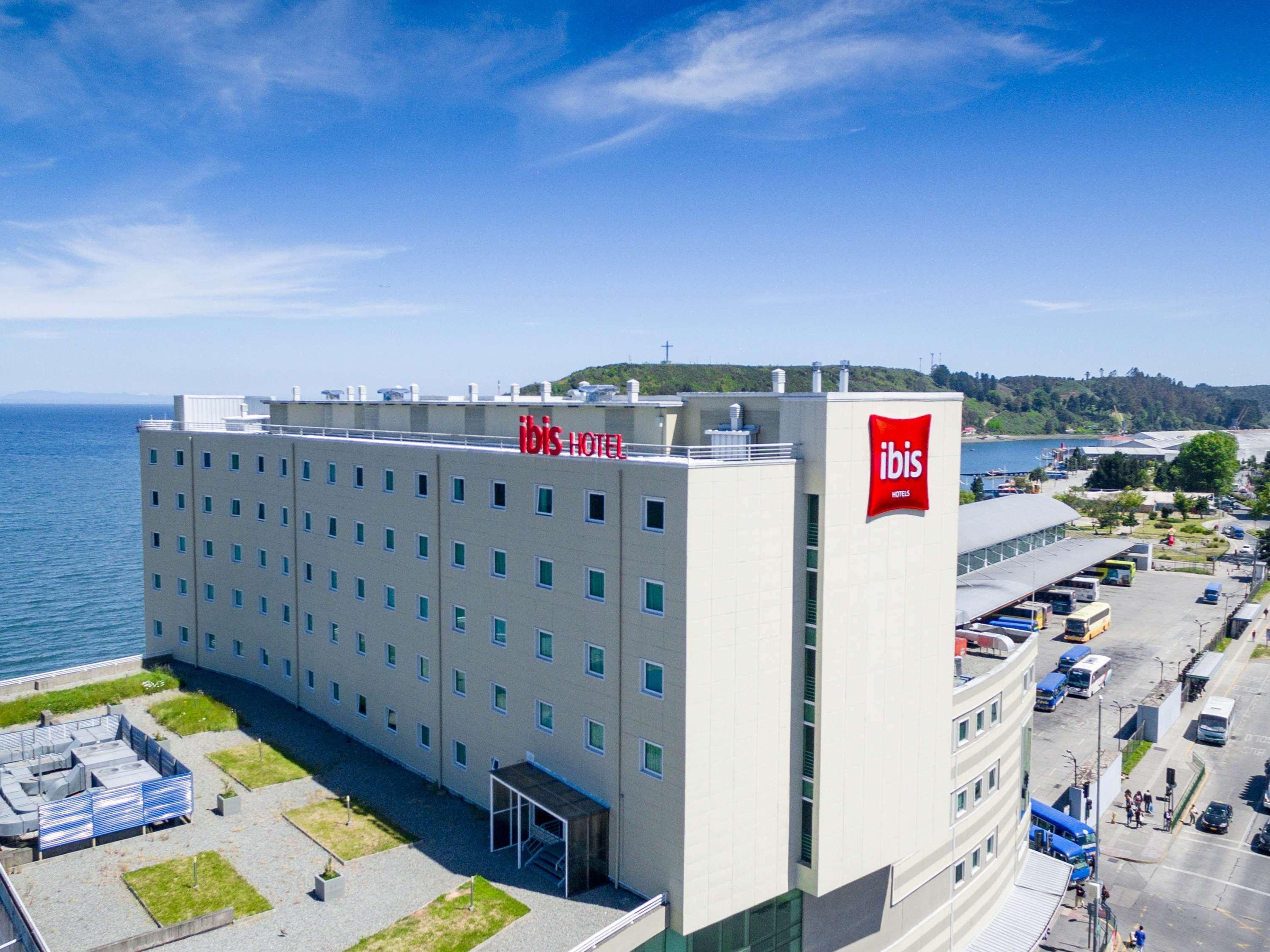 Varios ibis Puerto Montt