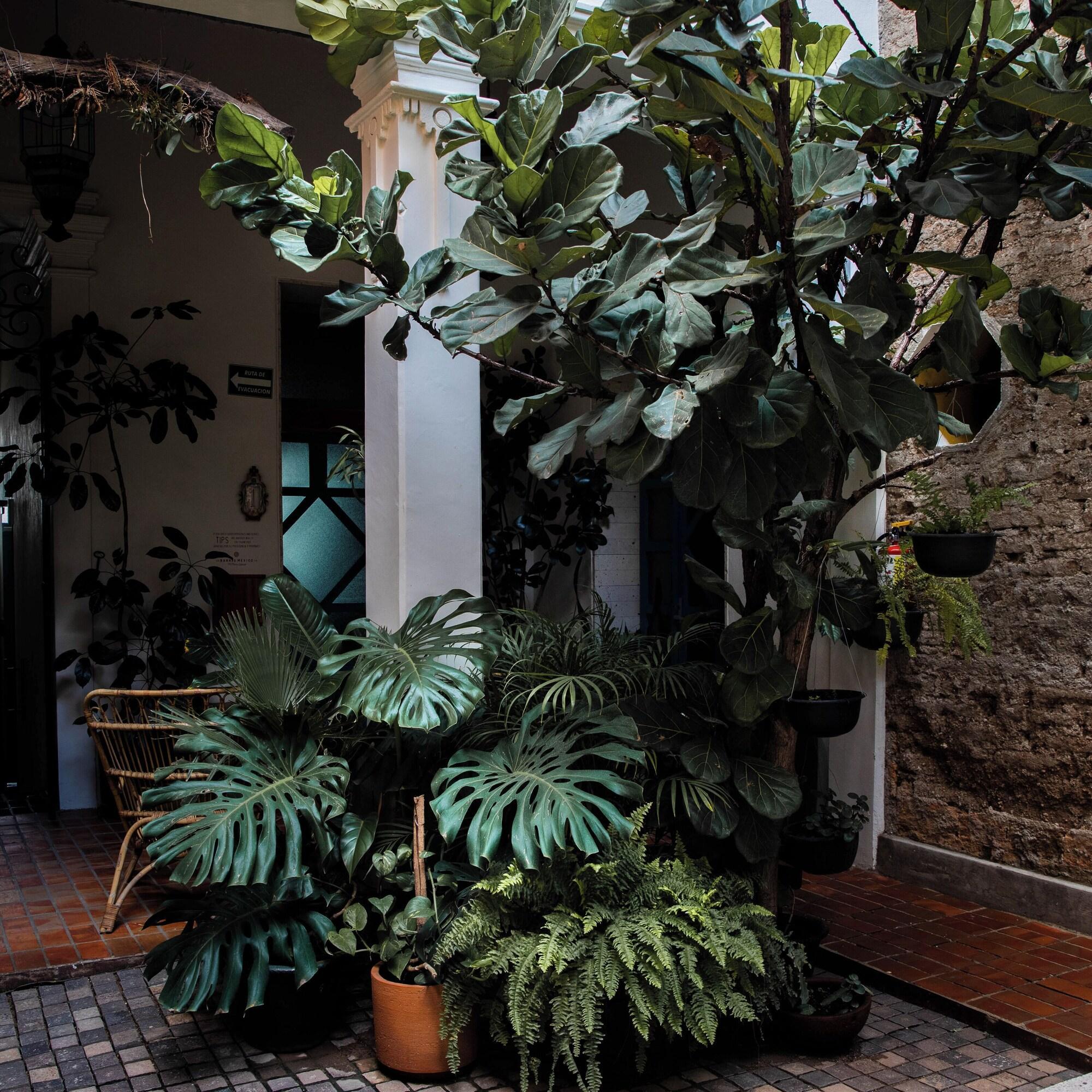 Vista Exterior Casa Morelos By Barrio Mexico