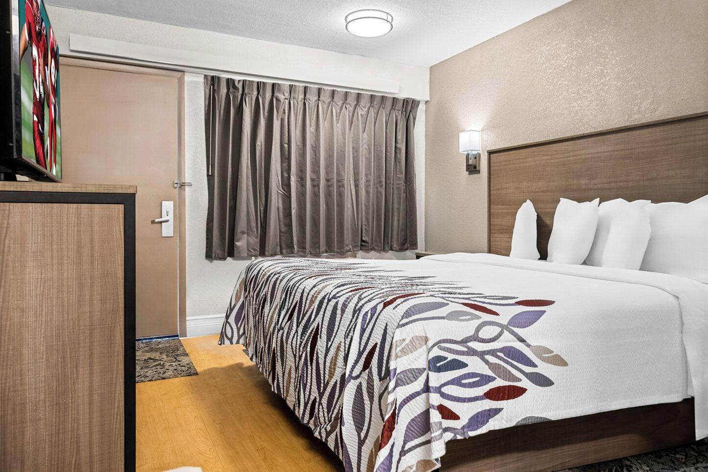 Habitación Red Roof Inn Tampa Fairgrounds – Casino