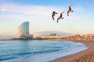 Vuelo - Vuelos a Barcelona