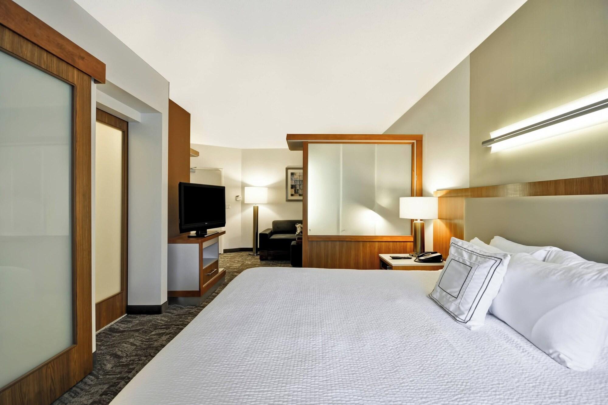 Habitación SpringHill Suites Tallahassee Central