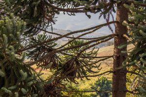 Alojamiento - Pousada Sonho Meu