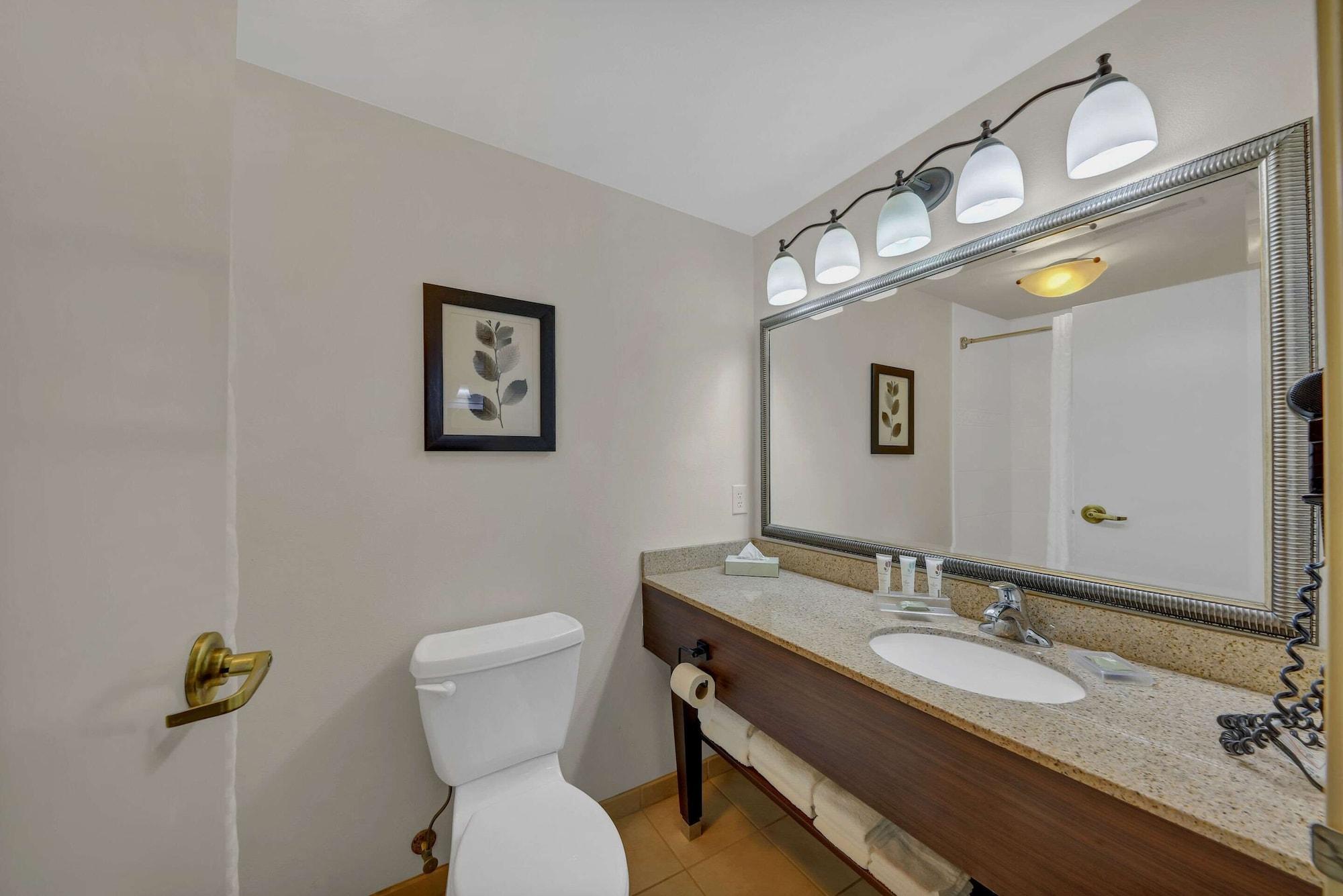 Habitación Country Inn & Suites by Radisson, Braselton, GA