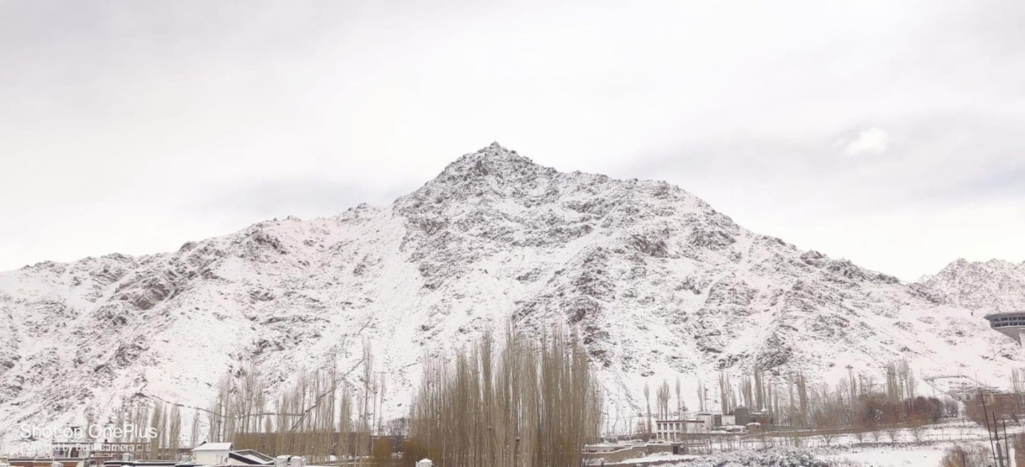 Varios Hotel Mountain Vibes