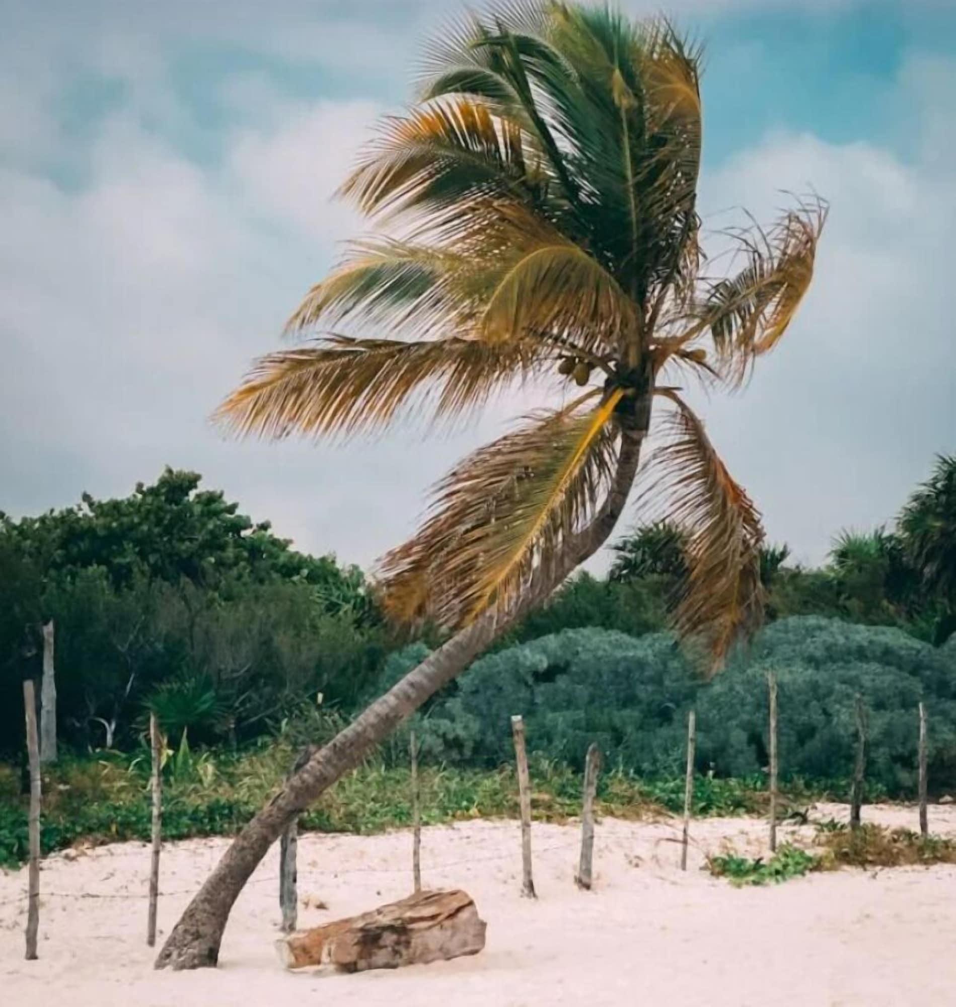 Playa HOM Hostel Boutique