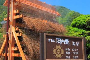 Alojamiento - Hotel Kawachiya