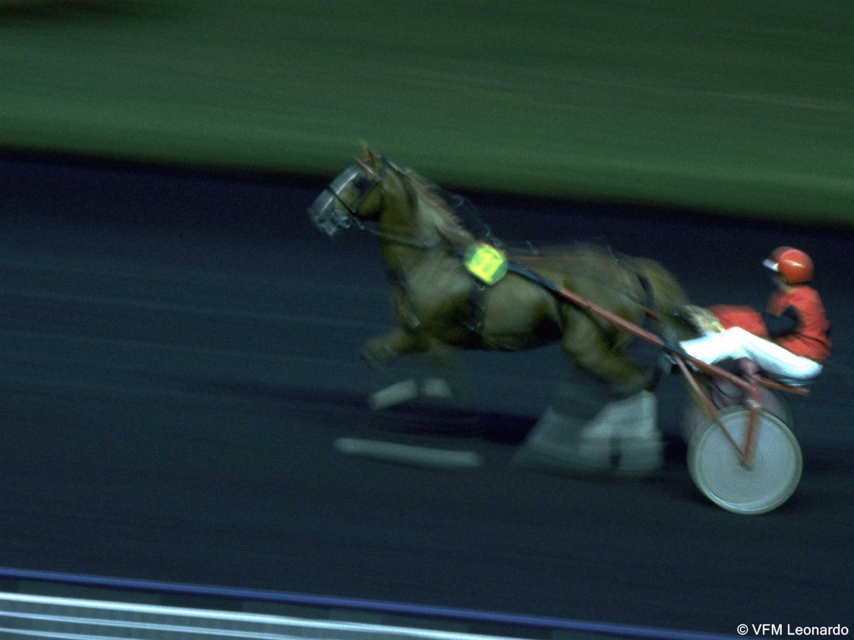 Instalaciones Recreativas ibis Daumesnil Porte Dorée