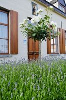 Alojamiento - Hotel Het Heilig Genot