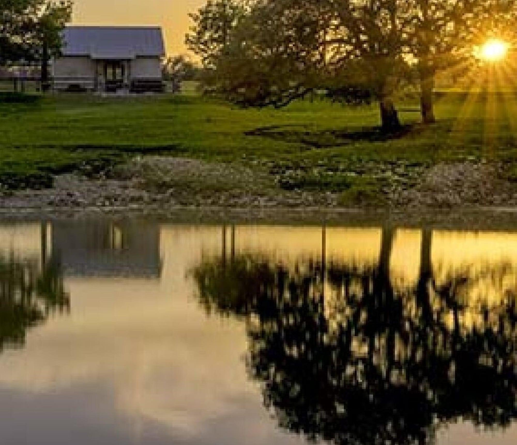 Vista Exterior TimberRose B&B