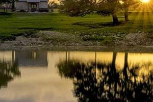 Alojamiento - TimberRose B&B