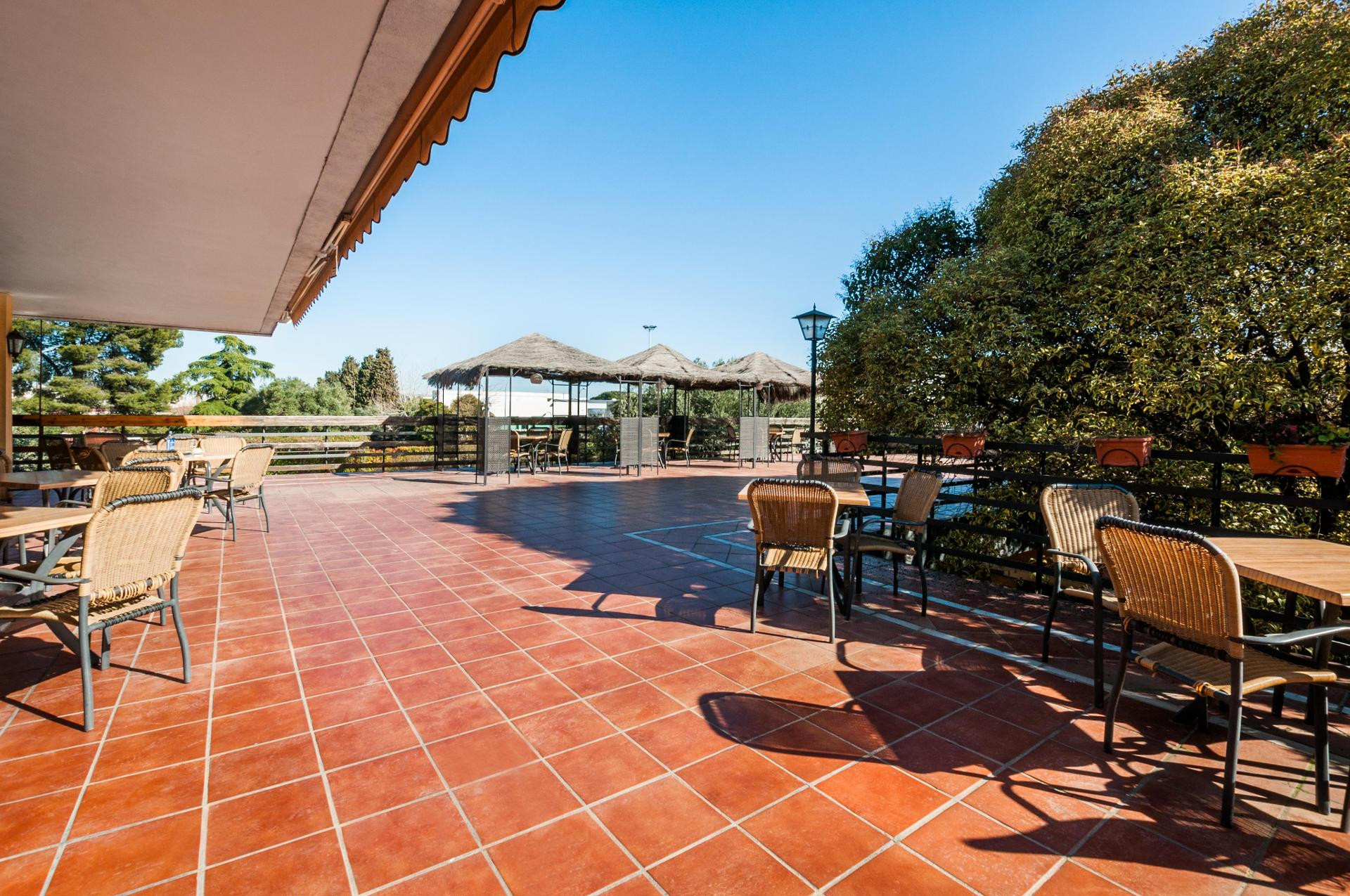 Bar/Salón Los Olivos