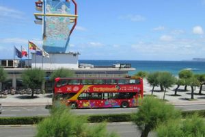 Actividad - Bus turístico Hop-on Hop-off + Tren