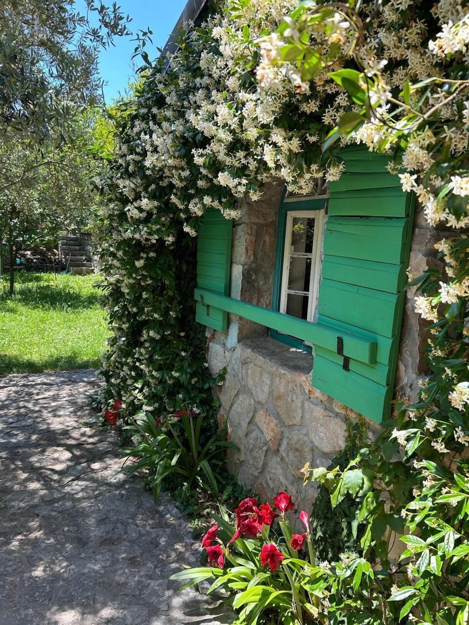Vista Exterior Lake House Puro