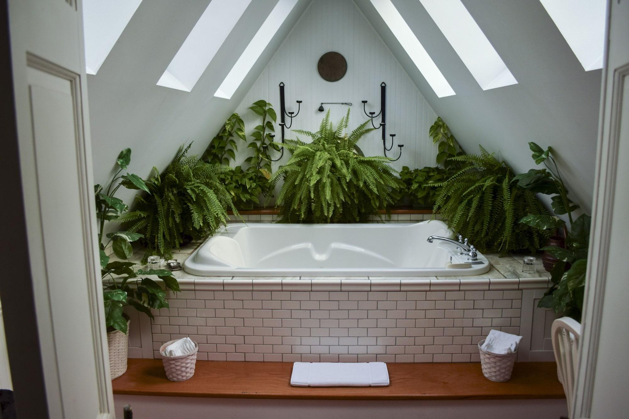 Varios Wild Goose Inn