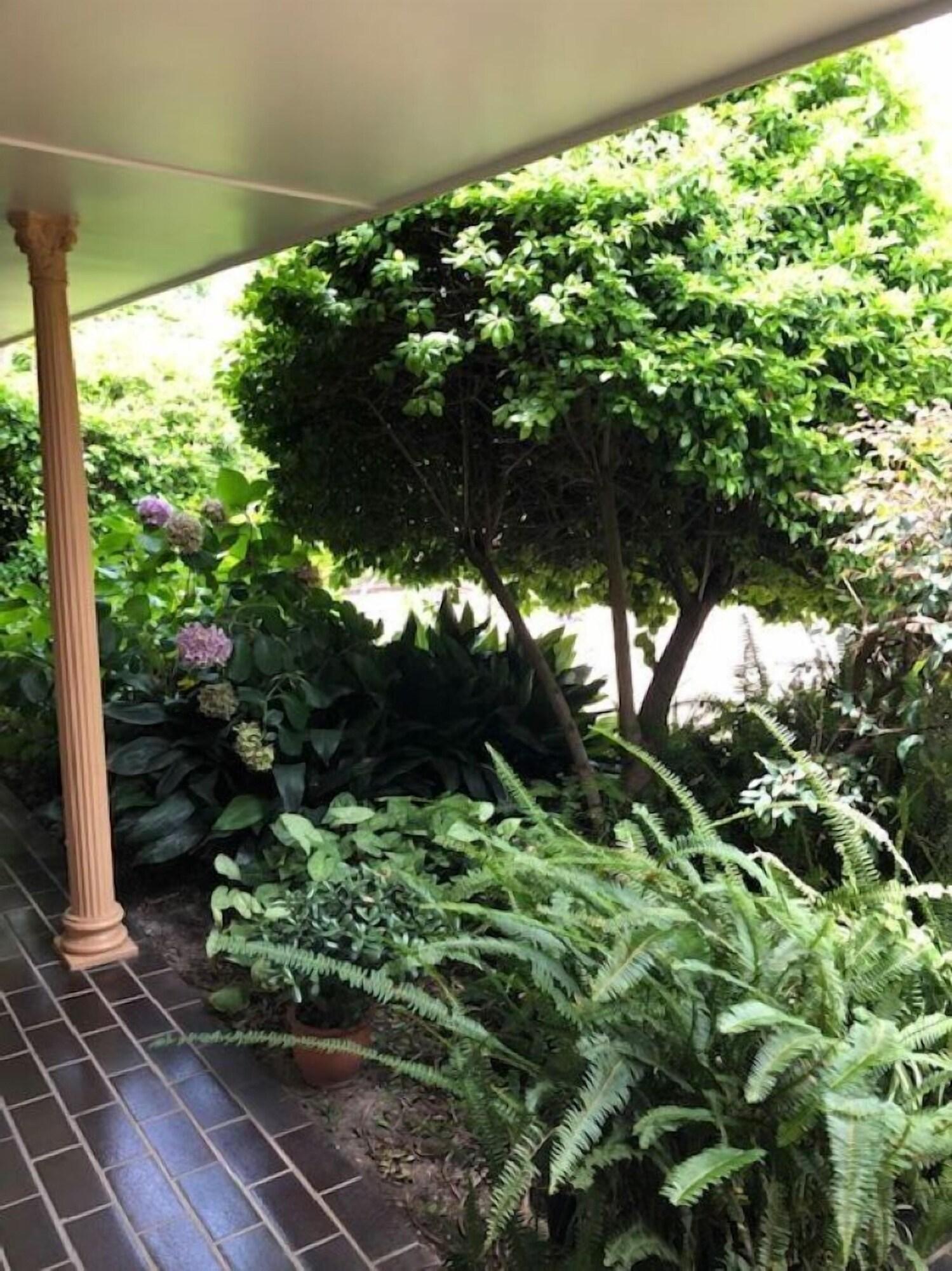 Instalaciones Recreativas Muswellbrook Motor Inn