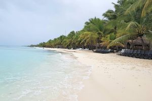 Actividad - Explora Isla Saona en lancha rápida - Tour de un día entero