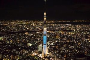 Actividad - Observatorio de la Torre de Tokio - Entrada