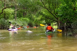 Actividad - Delta en Kayak