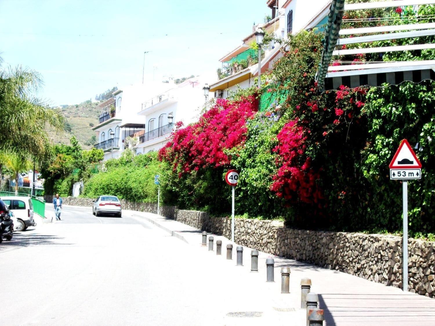 Vista Exterior Hotel Al Andalus