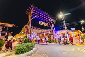 Actividad - Vila do Francês de noche: experiencia gastronómica