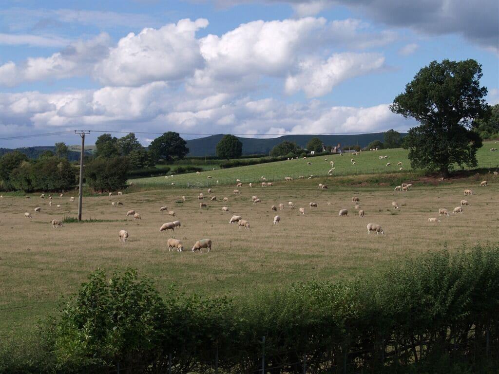 Vista Exterior Quixhill - Denstone - Dove Meadow B & B