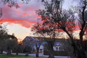 Alojamiento - Uliveto Principessa Resort