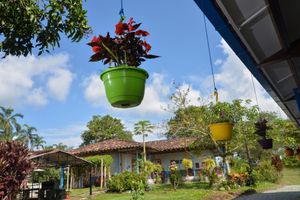 Alojamiento - Balsora Hotel Boutique