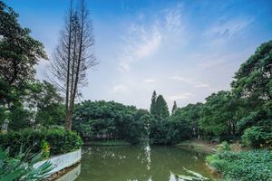 Alojamiento - Yinshu Lunas Vila Courtyard Garden Resort Hotel (Shanghai International Tourism Resort Branch)