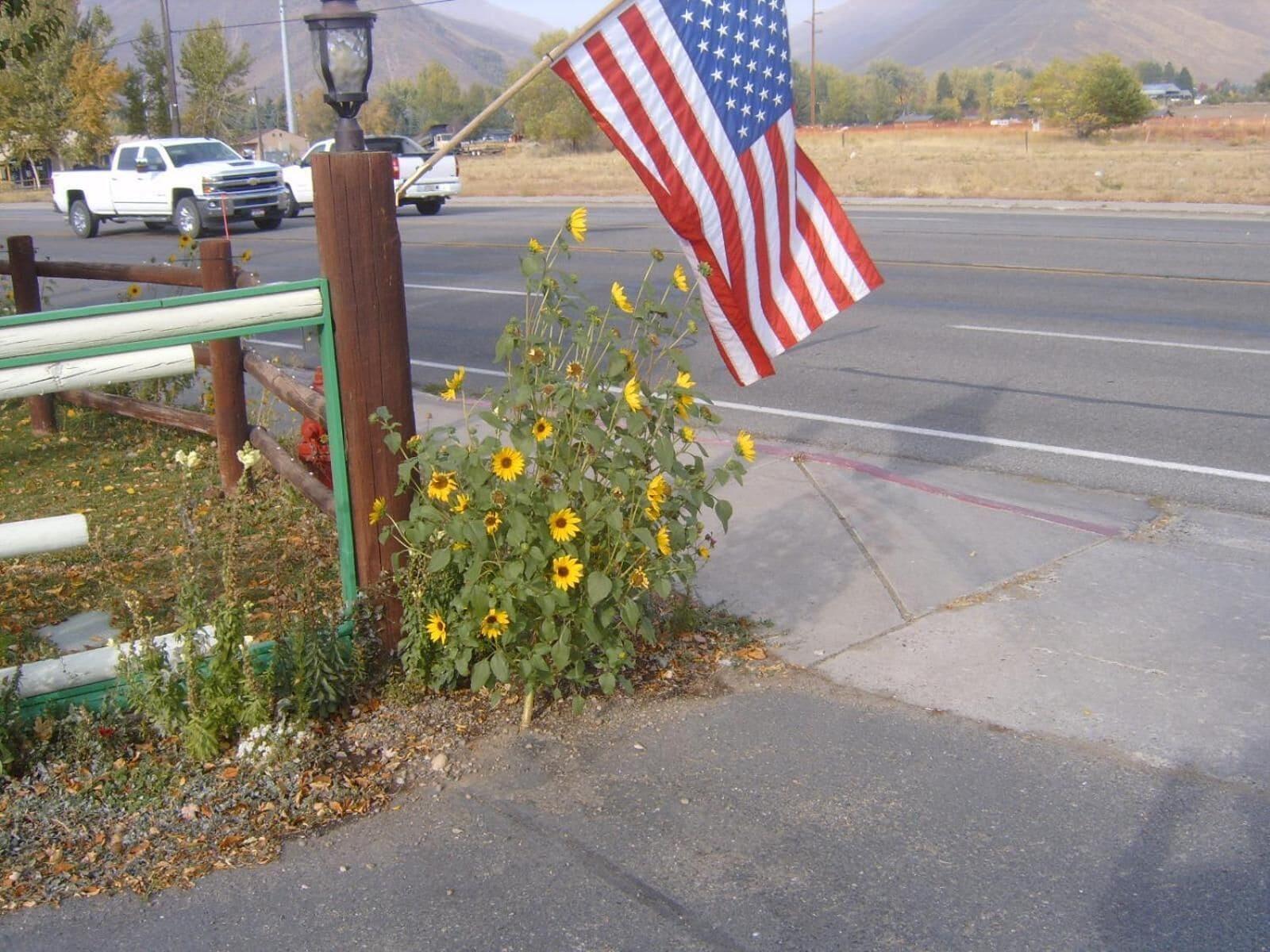 Comodidades del Alojamiento Bellevue High Country Motel