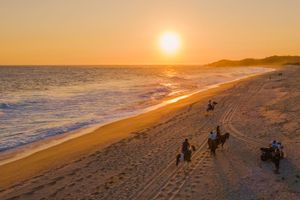 Actividad - Vive el atardecer en la playa a caballo, como local