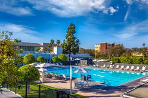 Pacote - The Anaheim Hotel