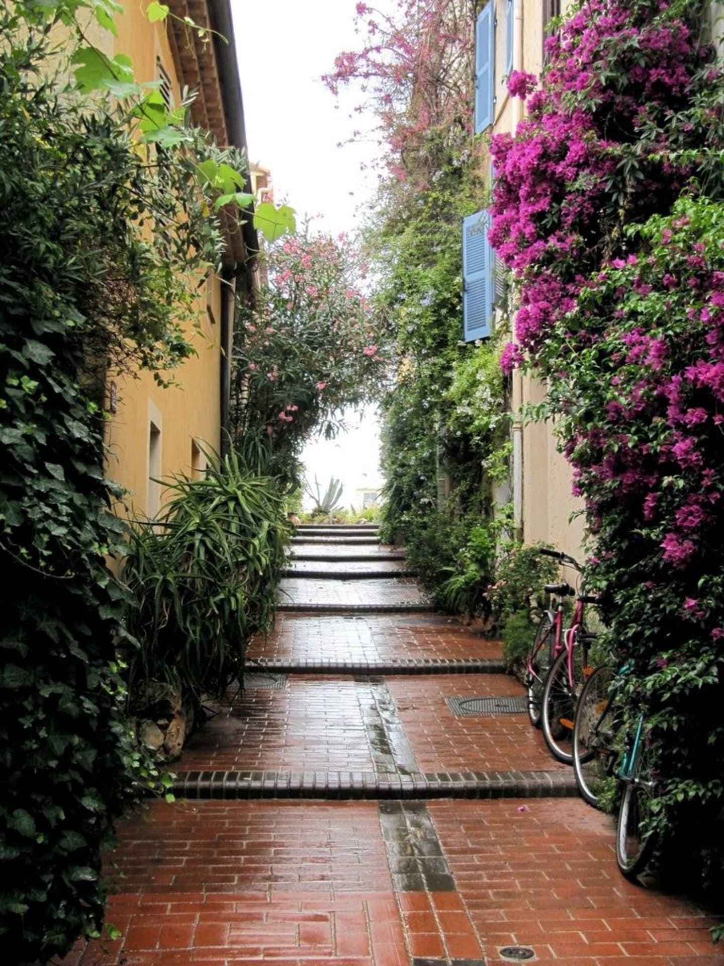 Comodidades del Alojamiento Great brand new 1 bedroom apartment in the center of old Antibes
