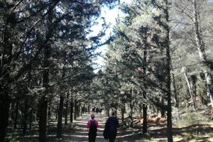 Actividad - Atardecer en el monte Himeto - Excursión de senderismo