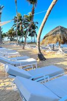Alojamiento - Playa Palmera Beach Resort