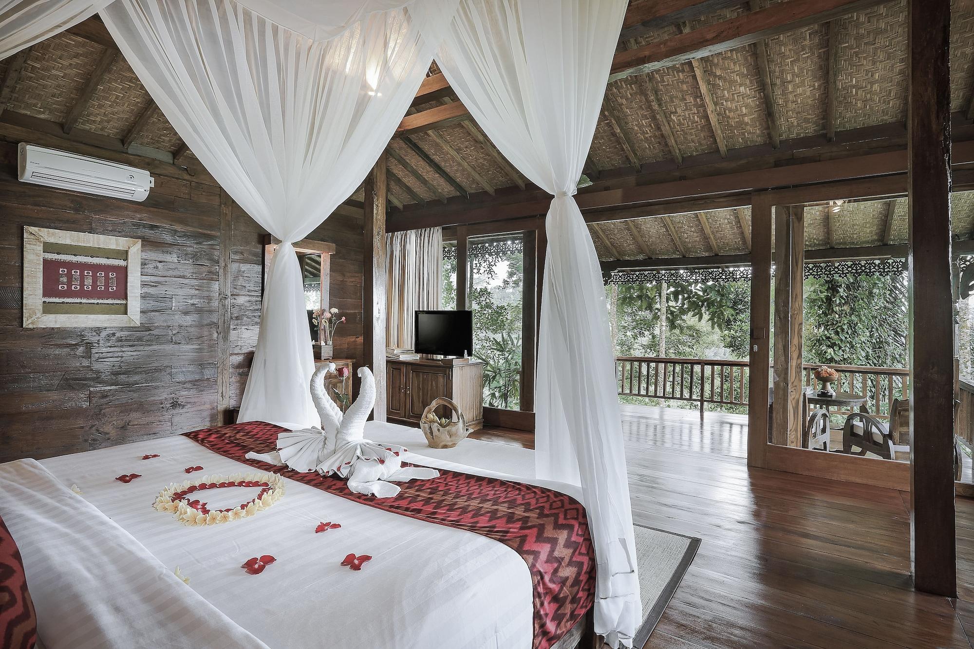 Set de Habitación Sunia Jungle