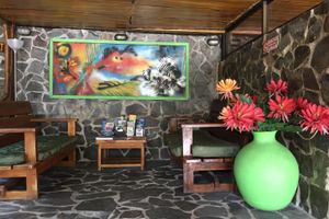 Alojamiento - Hotel Mimos