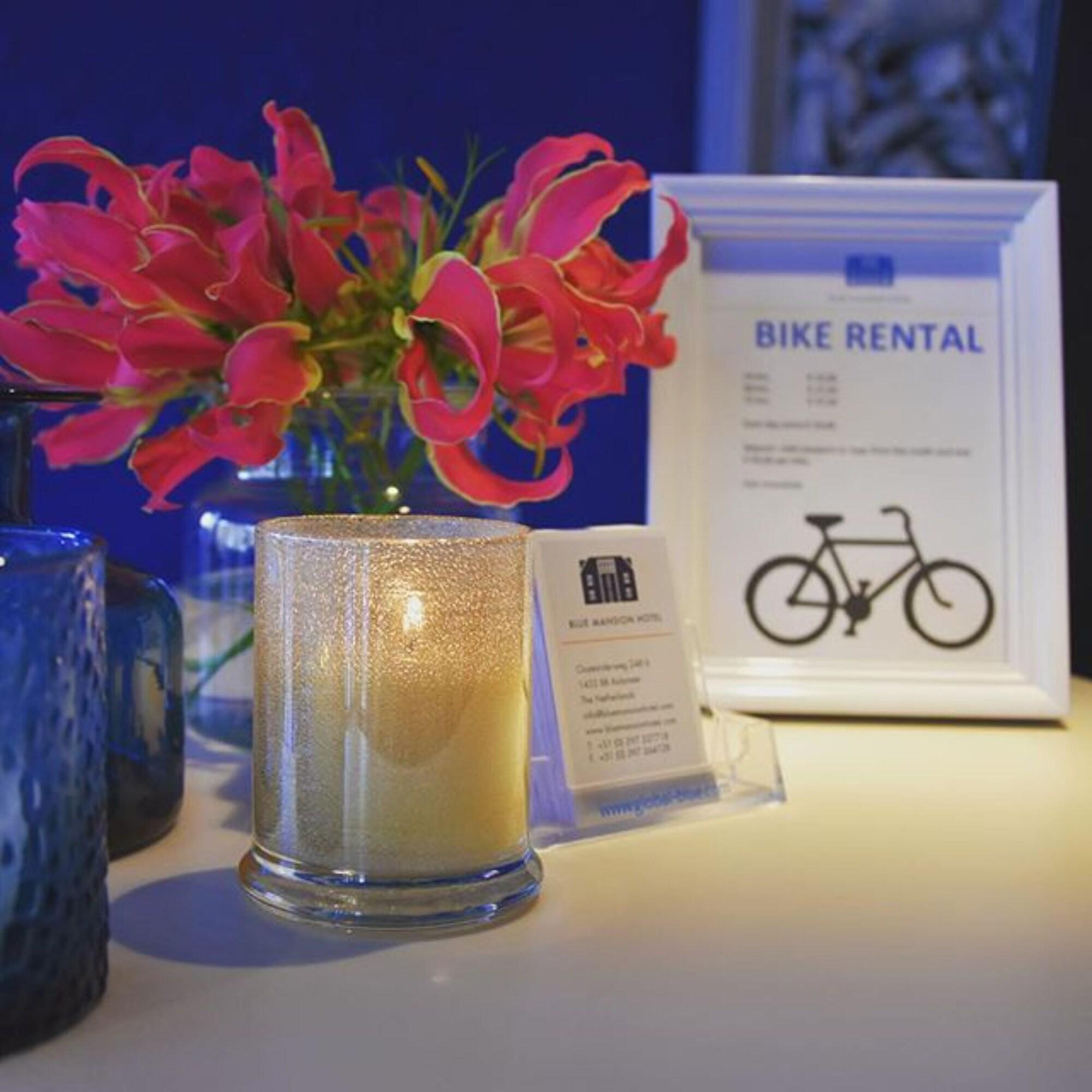 Instalaciones Recreativas Blue Mansion Hotel