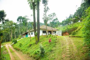 Alojamiento - Room-the Nest Bettathur Coorg 005