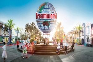 Actividad - Dreamworld - Traslados solamente