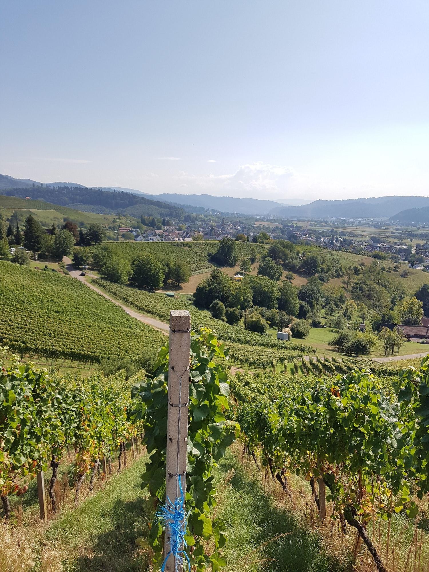 Vista Exterior Gästehaus Eckenfels