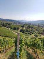 Alojamiento - Gästehaus Eckenfels