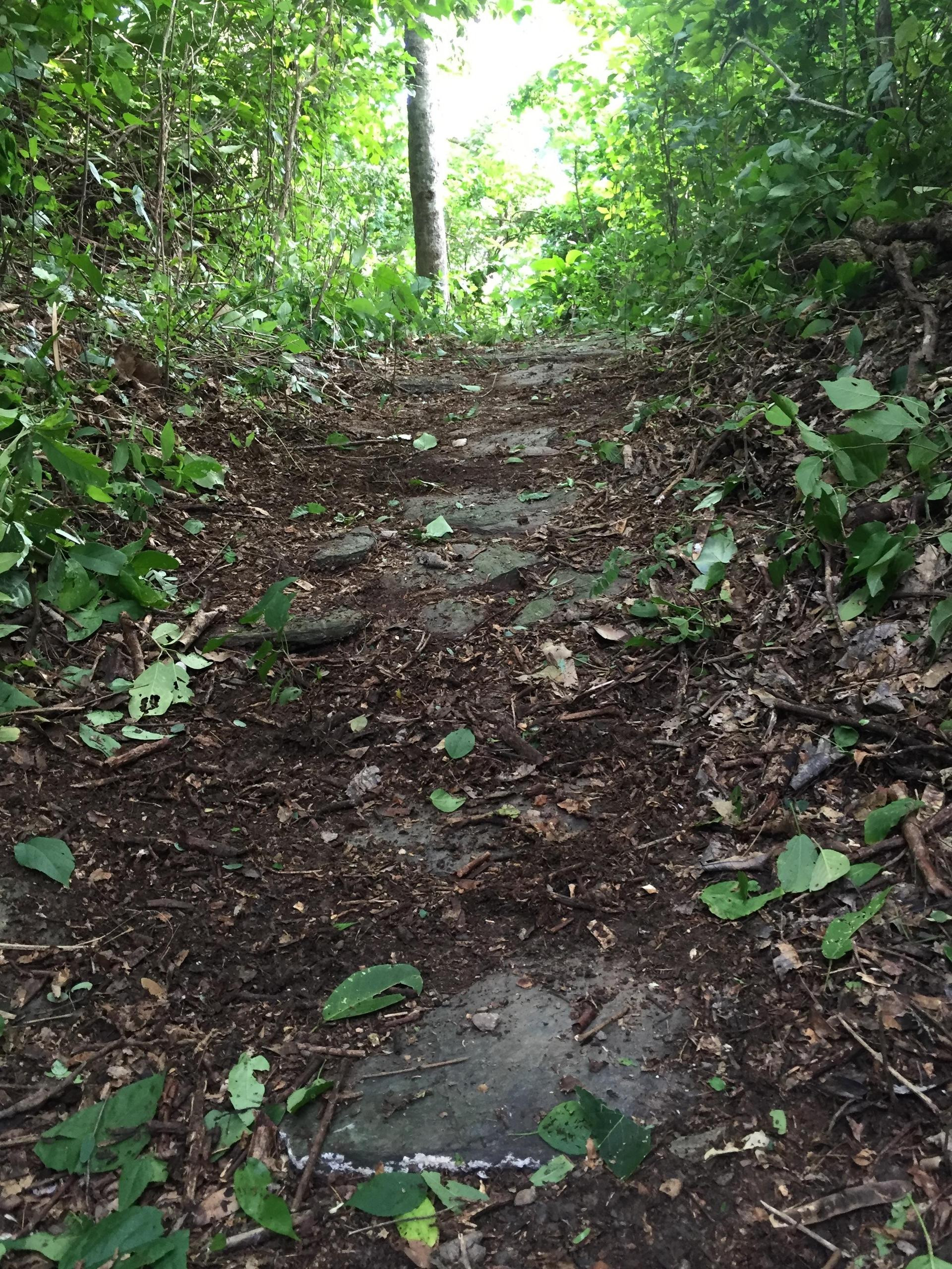 Spa Hostal Campestre Olas de Neguanje