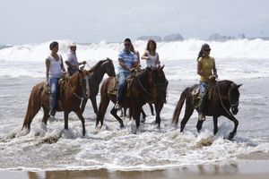 Actividad - Paseo a caballo